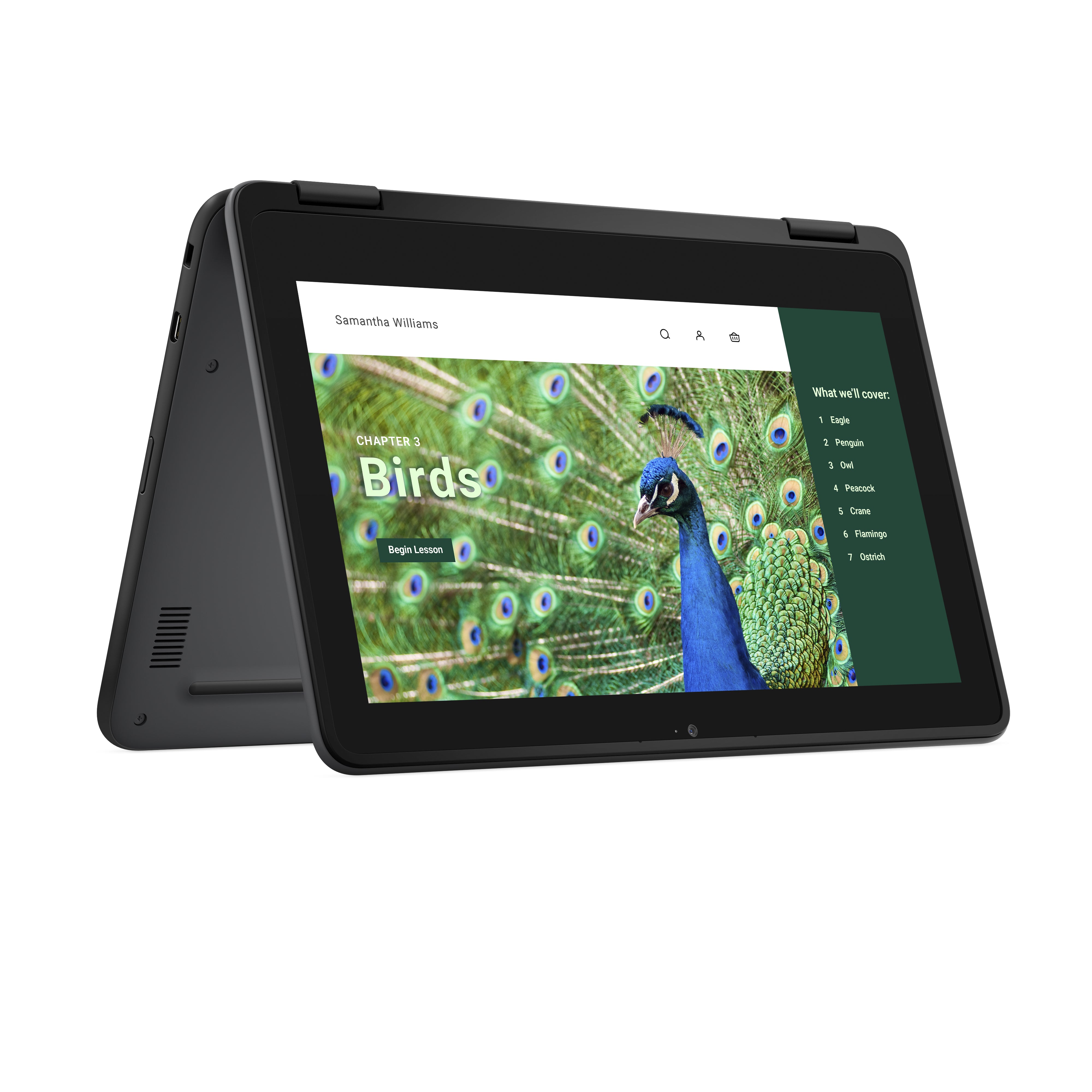 Dell 3120 11.6" HD Convertible Chromebook, Intel N100, 0.8GHz, 4GB RAM, 64GB eMMC, ChromeOS - J78DN (Refurbished)