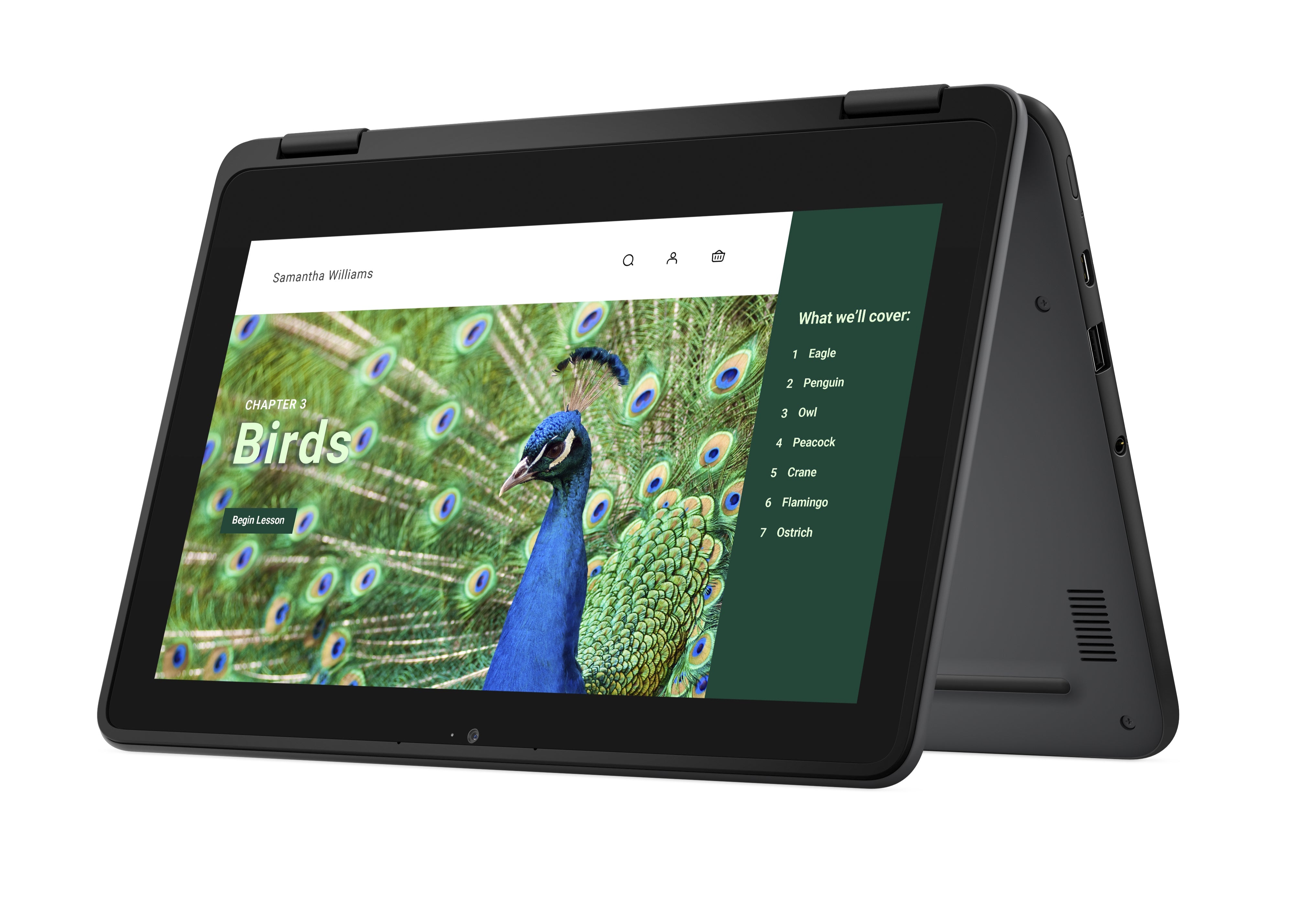Dell 3120 11.6" HD Convertible Chromebook, Intel N100, 0.8GHz, 8GB RAM, 64GB eMMC, ChromeOS - YG2M1