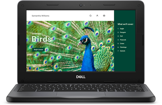 Dell 3120 11.6" HD Chromebook, Intel N100, 0.8GHz, 4GB RAM, 64GB eMMC, ChromeOS - CHB3120-4-64 (Certified Refurbished)