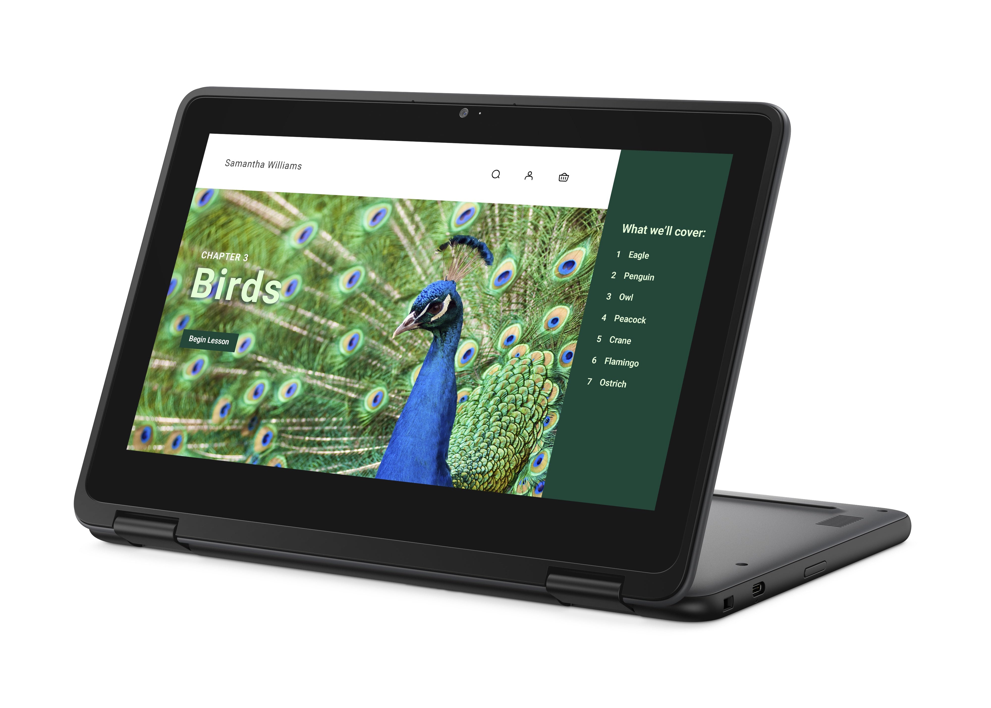 Dell 3120 11.6" HD Convertible Chromebook, Intel N100, 0.8GHz, 8GB RAM, 64GB eMMC, ChromeOS - YG2M1