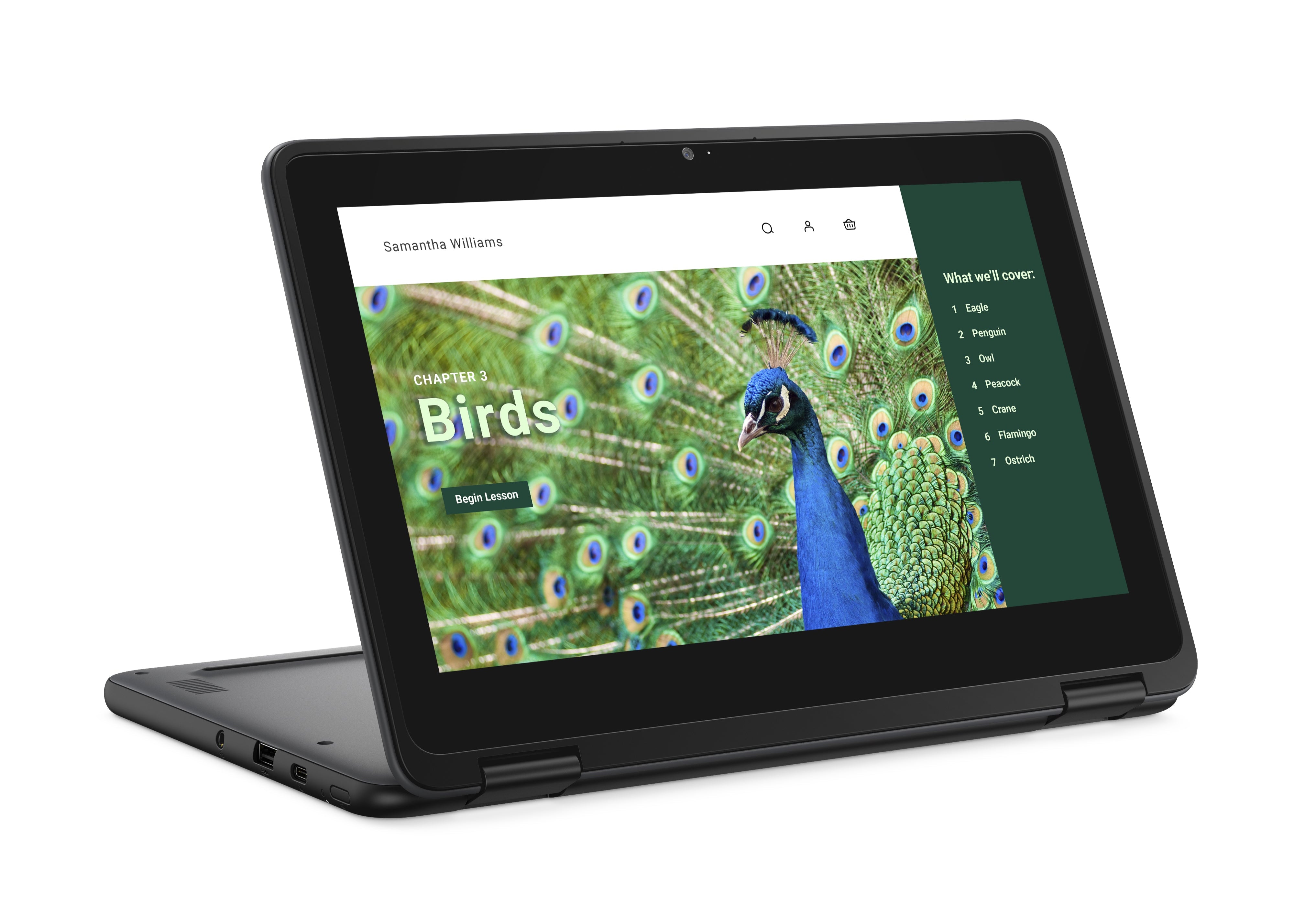 Dell 3120 11.6" HD Convertible Chromebook, Intel N100, 0.8GHz, 4GB RAM, 64GB eMMC, ChromeOS - J78DN