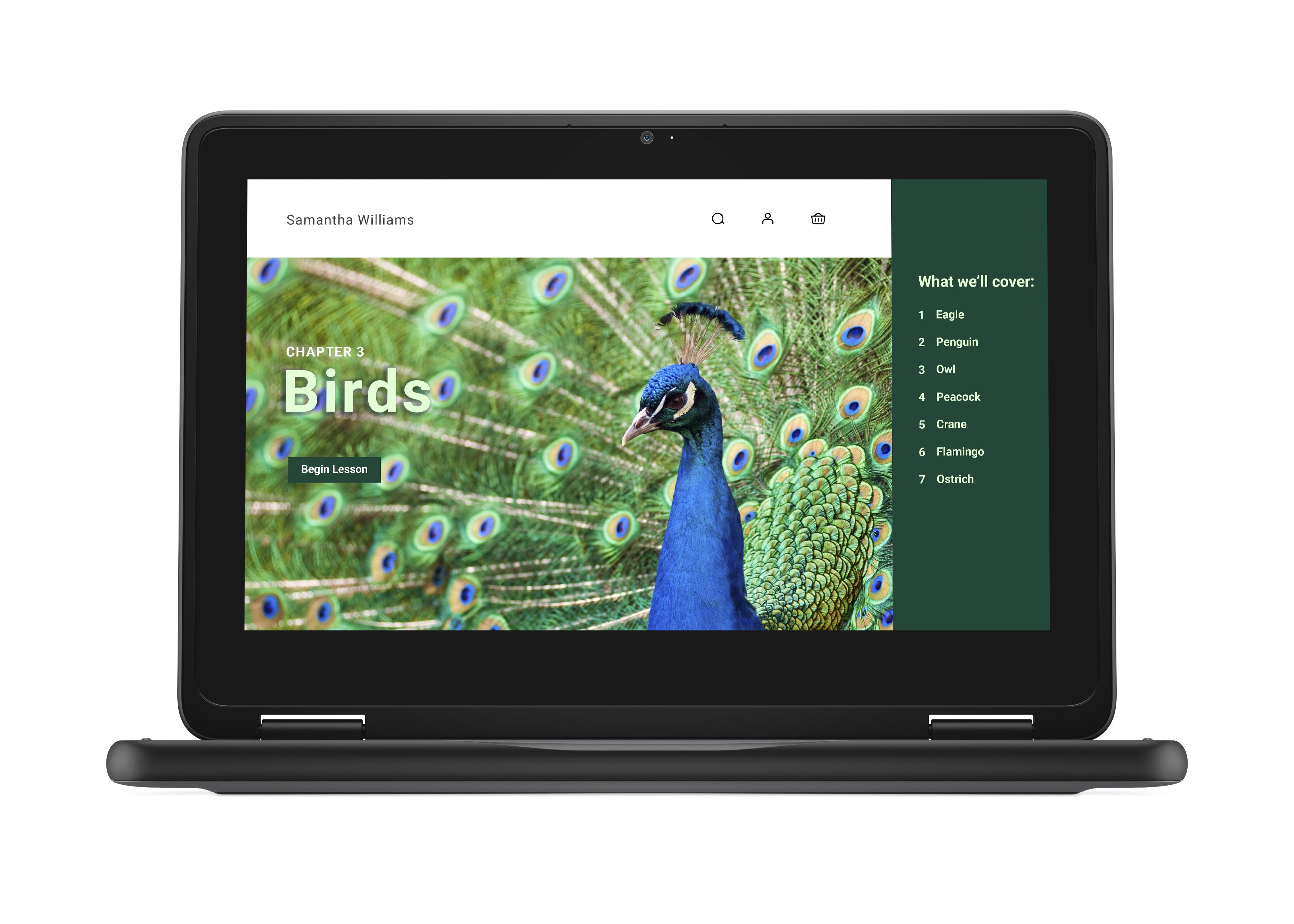 Dell 3120 11.6" HD Convertible Chromebook, Intel N100, 0.8GHz, 8GB RAM, 64GB eMMC, ChromeOS - YG2M1