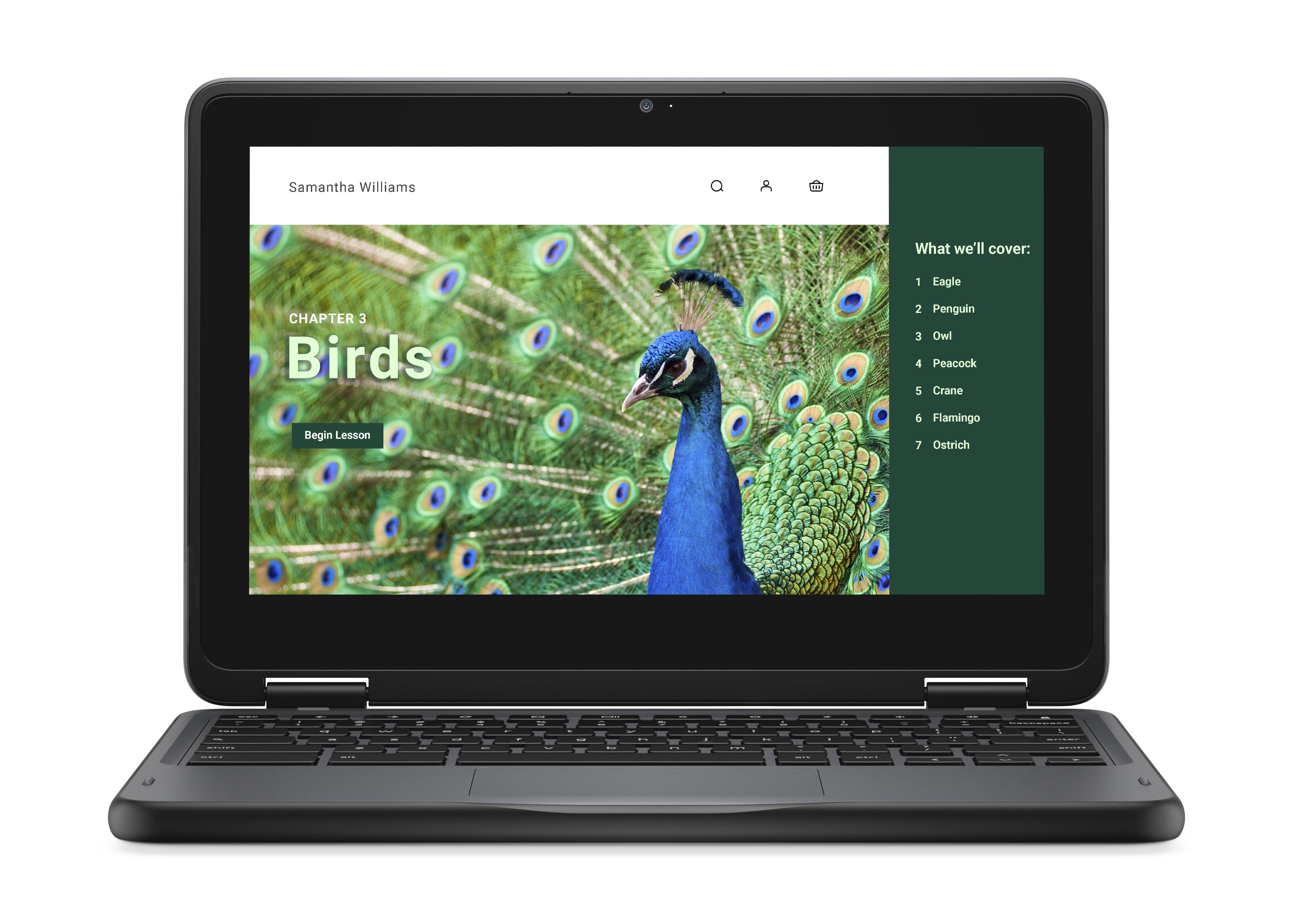 Dell 3120 11.6" HD Convertible Chromebook, Intel N100, 0.8GHz, 4GB RAM, 64GB eMMC, ChromeOS - J78DN