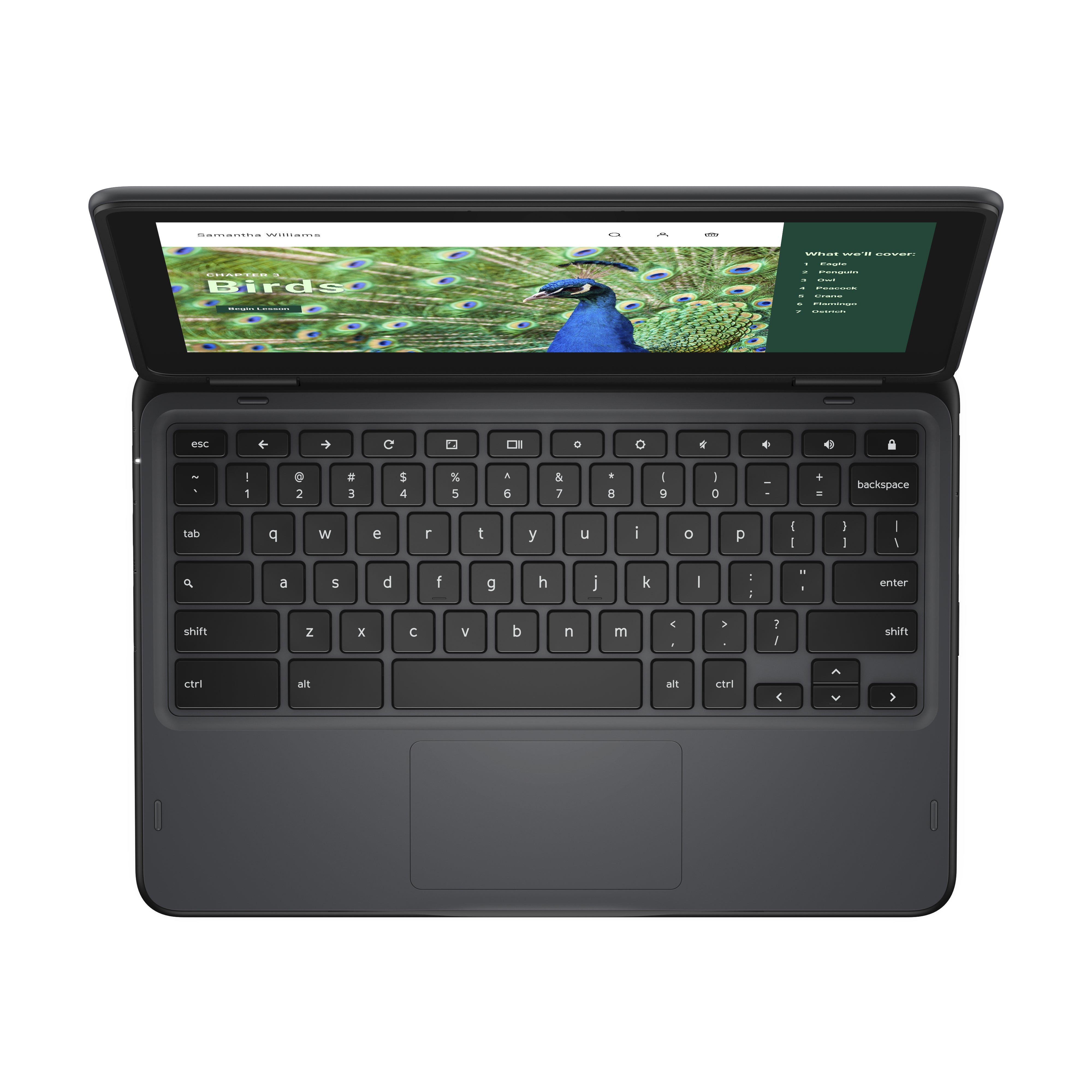 Dell 3120 11.6" HD Convertible Chromebook, Intel N100, 0.8GHz, 4GB RAM, 64GB eMMC, ChromeOS - J78DN