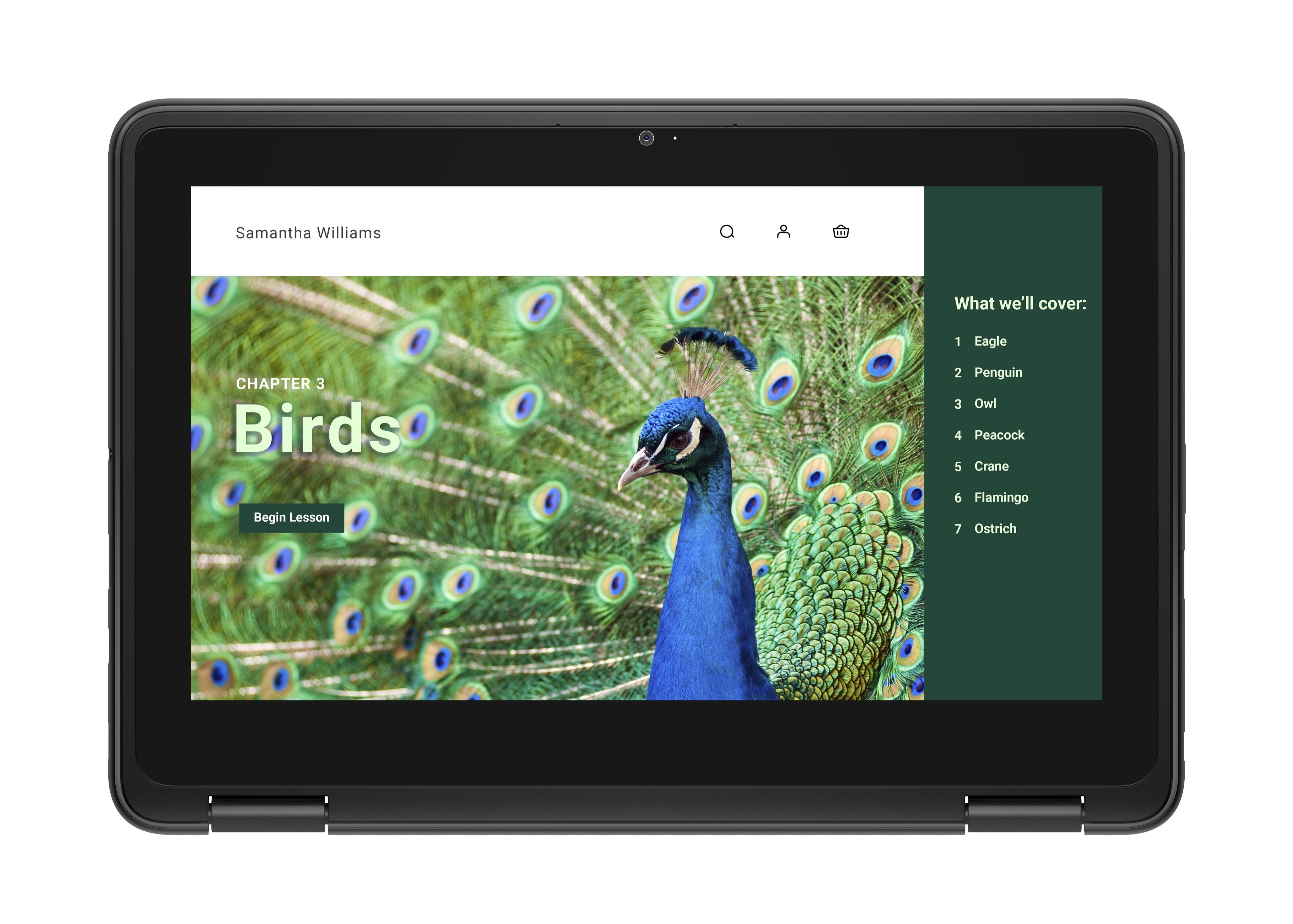 Dell 3120 11.6" HD Convertible Chromebook, Intel N100, 0.8GHz, 4GB RAM, 64GB eMMC, ChromeOS - J78DN