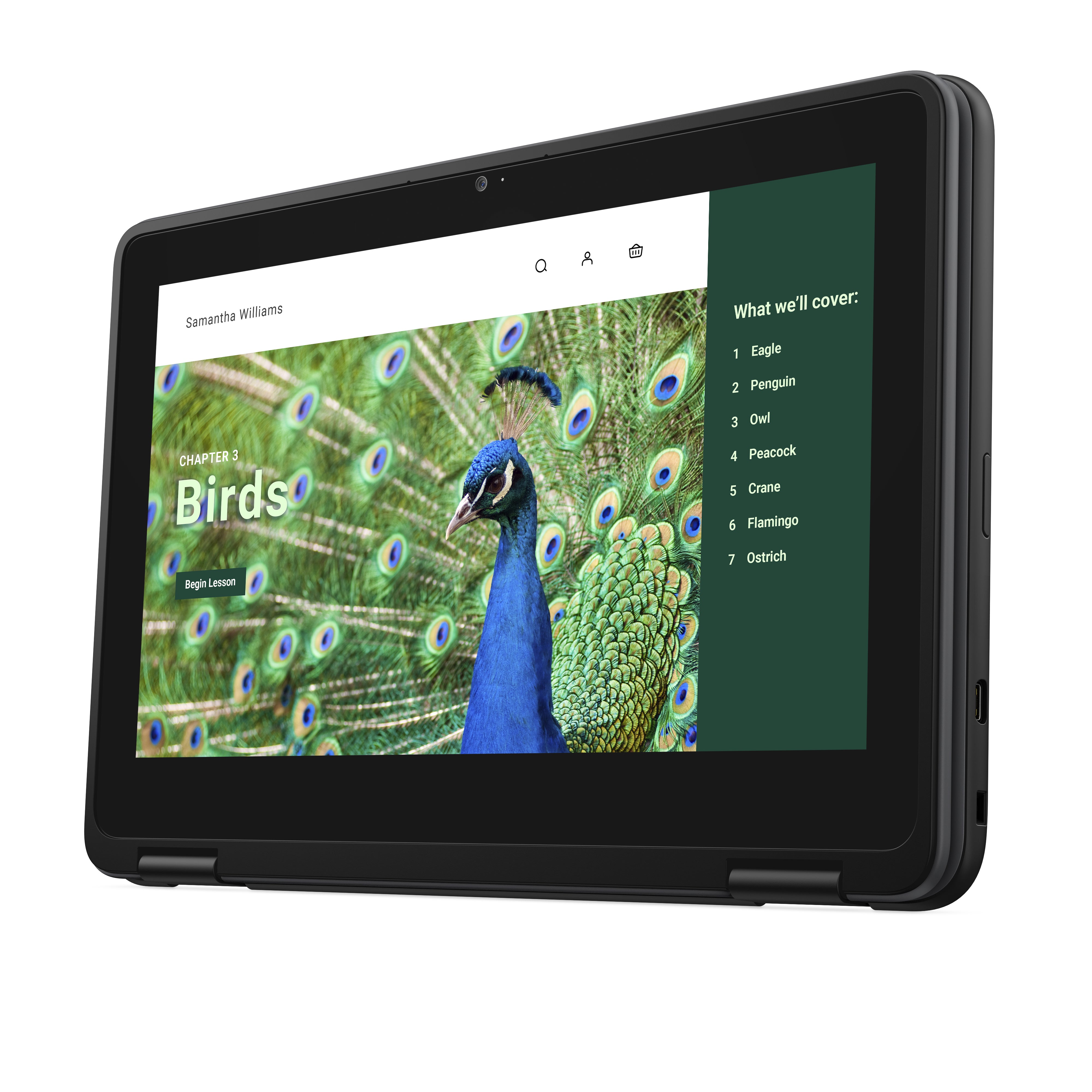 Dell 3120 11.6" HD Convertible Chromebook, Intel N100, 0.8GHz, 4GB RAM, 64GB eMMC, ChromeOS - J78DN