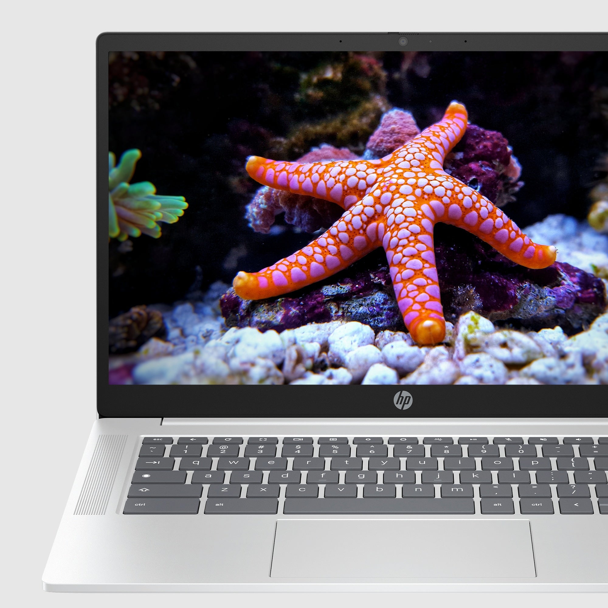HP 14a-nf0002tg 14" HD Chromebook, Intel N100, 0.8GHz, 4GB RAM, 64GB eMMC, ChromeOS - 9P1T8UA#ABA
