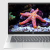HP 14a-nf0002tg 14" HD Chromebook, Intel N100, 0.8GHz, 4GB RAM, 64GB eMMC, ChromeOS - 9P1T8UA#ABA