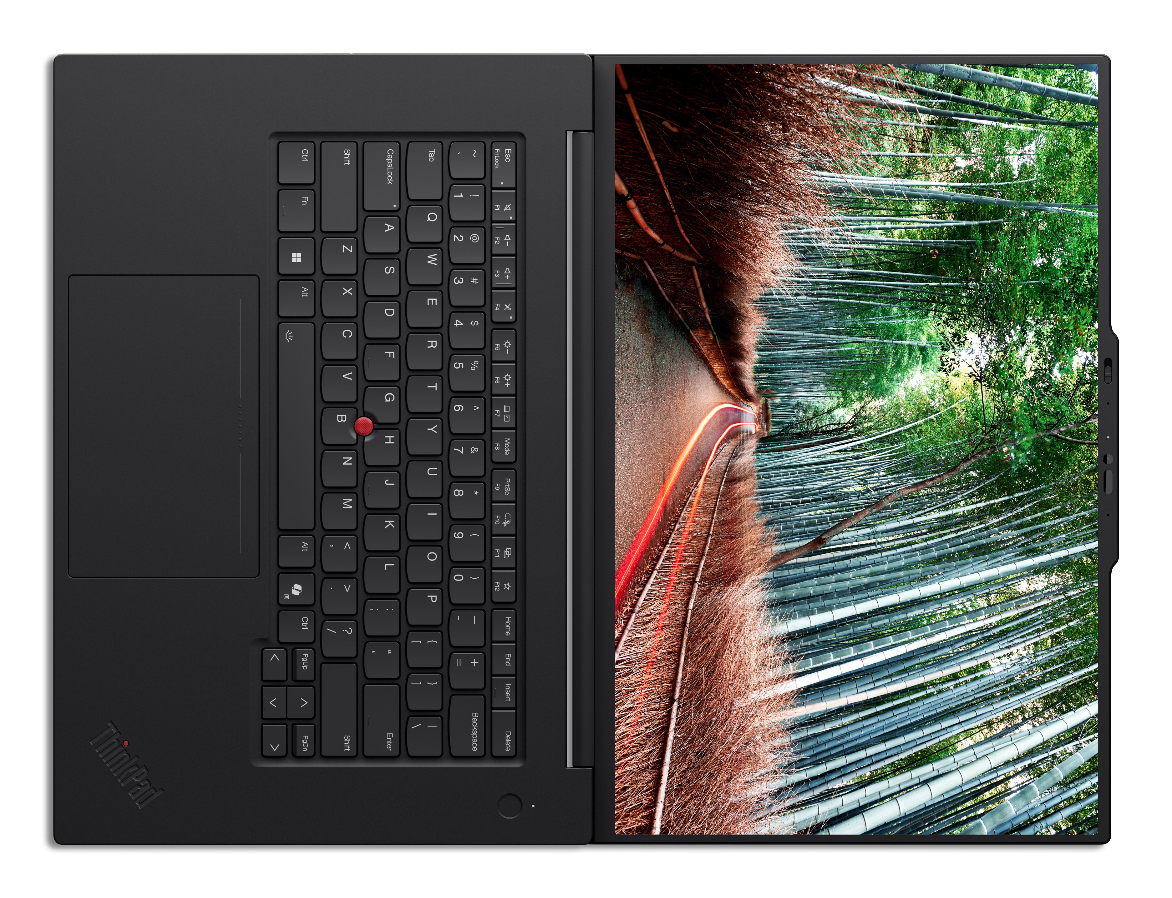 Lenovo ThinkPad T1g Gen 8 16" WQUXGA Notebook, Intel Ultra 7 255H, NVIDIA GeForce RTX 5060, 32GB RAM, 1TB SSD, Win11P - 21TD0010US
