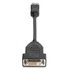 HP DisplayPort To Single-Link DVI Adapter, Male/Female Video Cable - F7W96AA