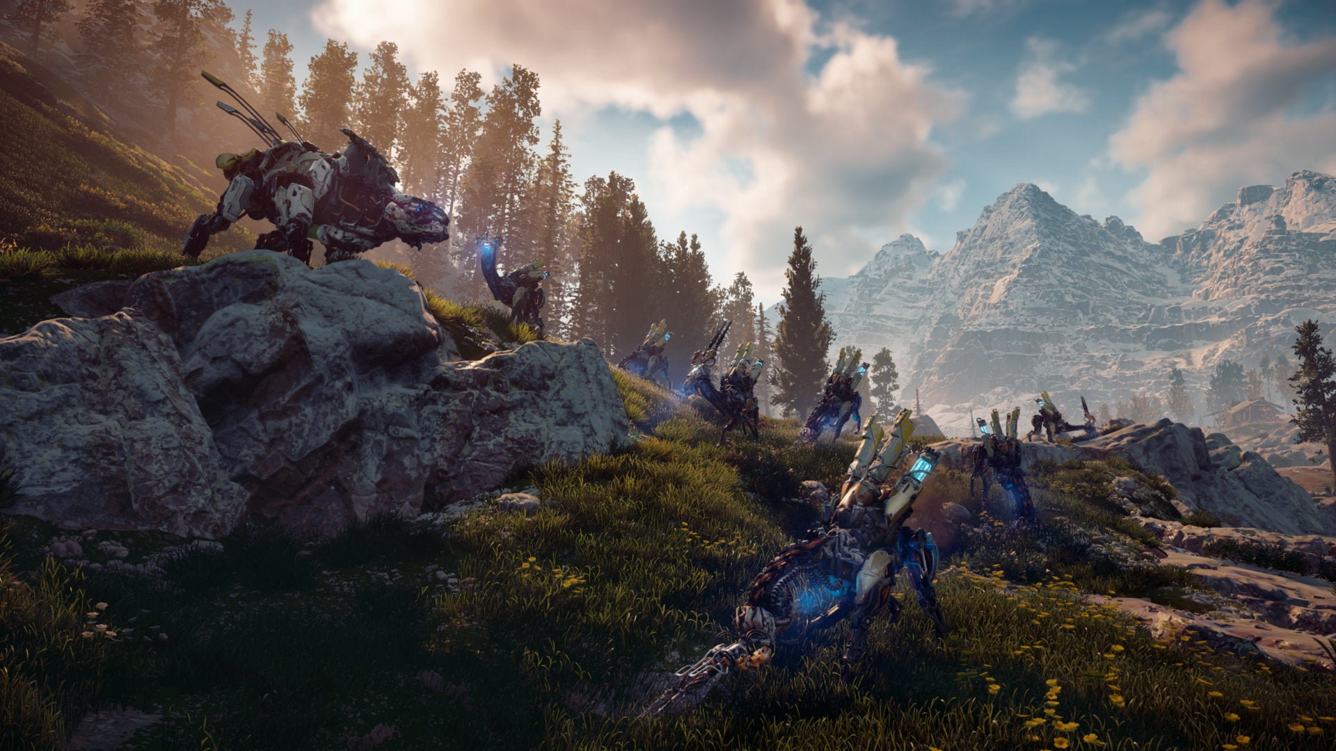 Sony Horizon Zero Dawn: Complete Edition Basic+DLC PlayStation 4 video game (PS4) 3002712