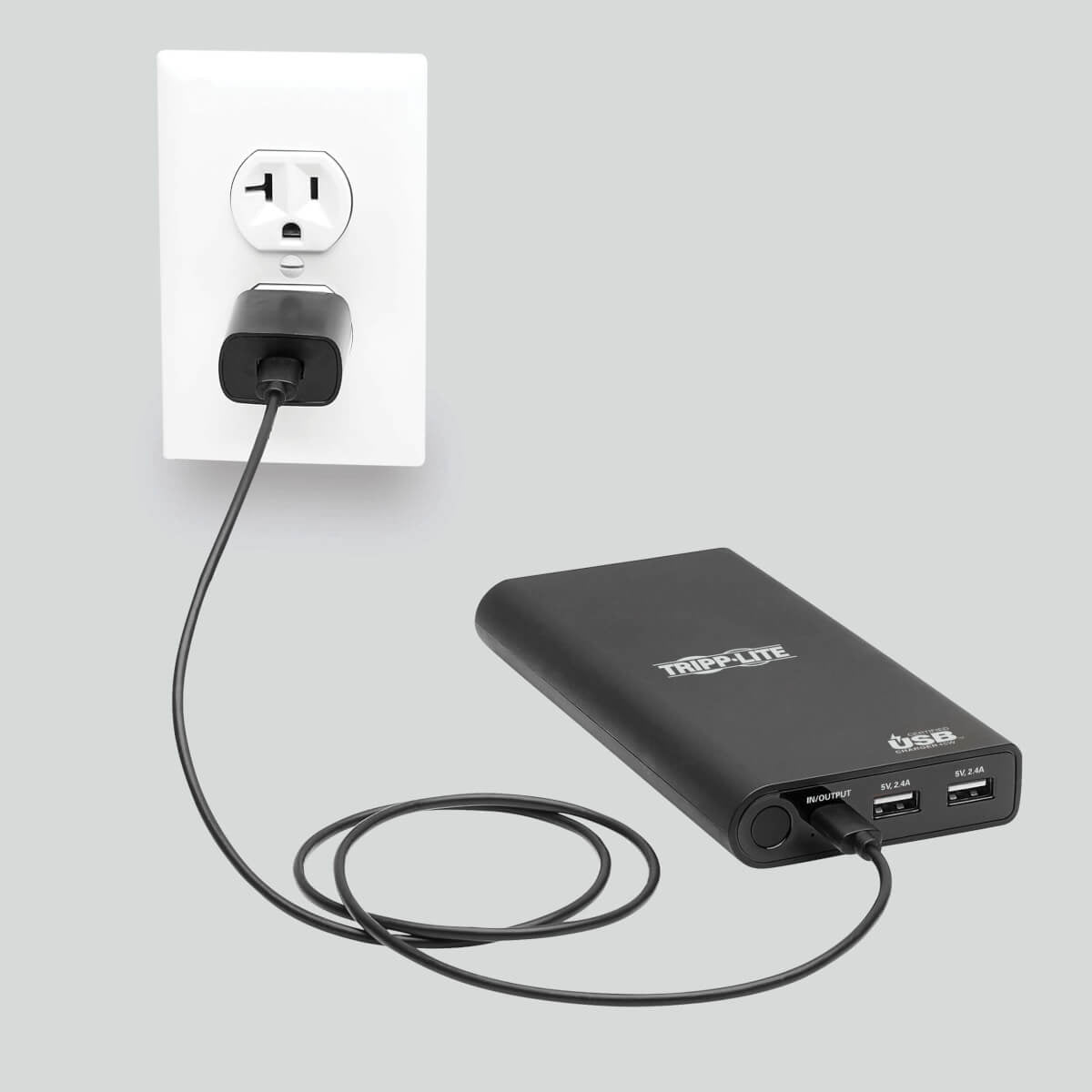 Tripp Lite USB Battery Charger, Mobile Power Bank, Li-Ion (20100 mAh) - UPB-20K0-2U1C