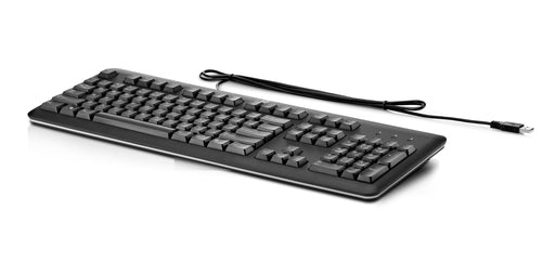 HP USB Wired Keyboard for PC, Standard, Black - QY776AT#ABA