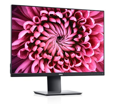 Dell P2421 24.1" WUXGA WLED Monitor, 16:10, 5ms, 1000:1-Contrast - DELL-P2421 (Refurbished)